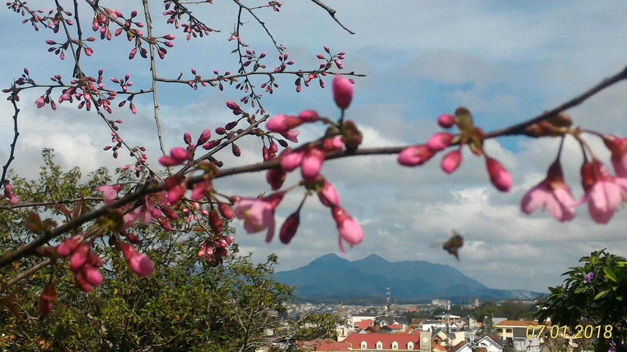 Homstay An Nhien Da Lat Esterno foto
